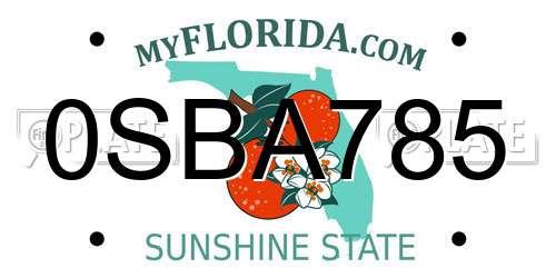 0SBA785 Florida License Plate
