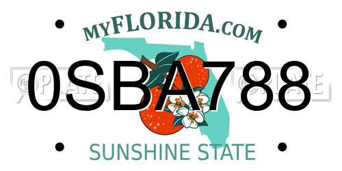 0SBA788 Florida License Plate
