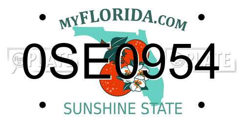 0SE0954 Florida License Plate