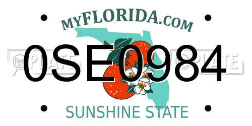 0SE0984 Florida License Plate