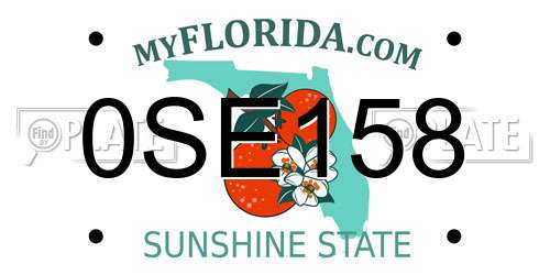 0SE158 Florida License Plate