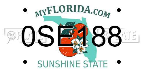 0SE188 Florida License Plate
