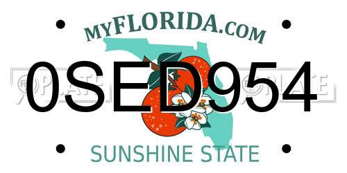 0SED954 Florida License Plate