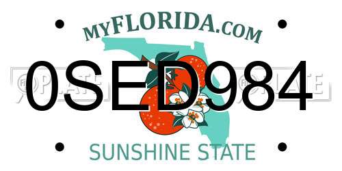 0SED984 Florida License Plate