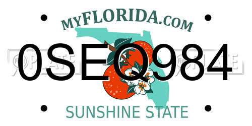 0SEQ984 Florida License Plate