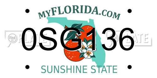 0SG136 Florida License Plate