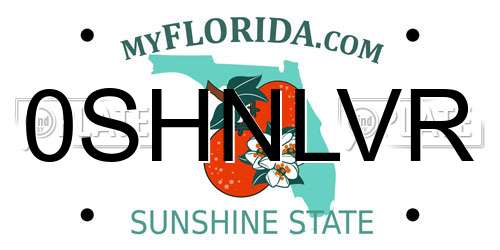 0SHNLVR Florida License Plate
