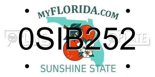 0SIB252 Florida License Plate