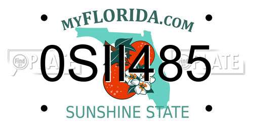 0SII485 Florida License Plate