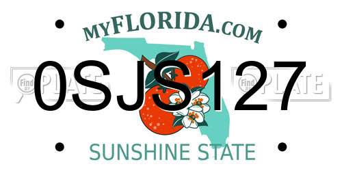0SJS127 Florida License Plate