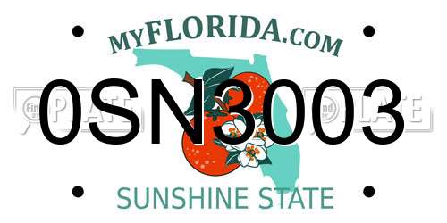 0SN3003 Florida License Plate