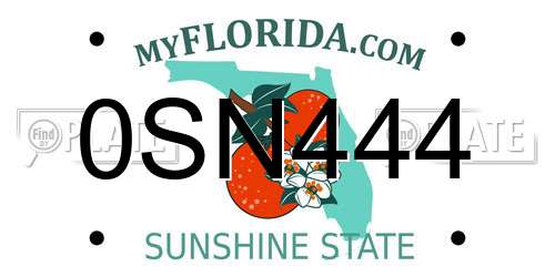 0SN444 Florida License Plate