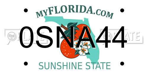 0SNA44 Florida License Plate