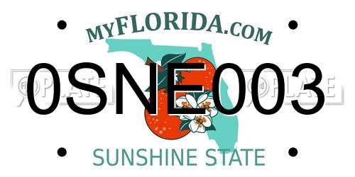 0SNE003 Florida License Plate