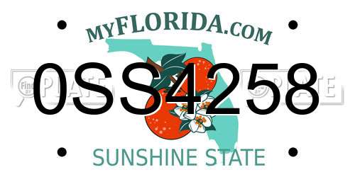 0SS4258 Florida License Plate