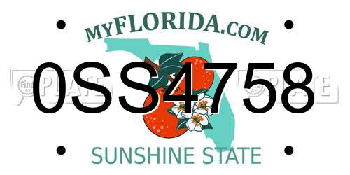 0SS4758 Florida License Plate