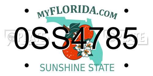 0SS4785 Florida License Plate