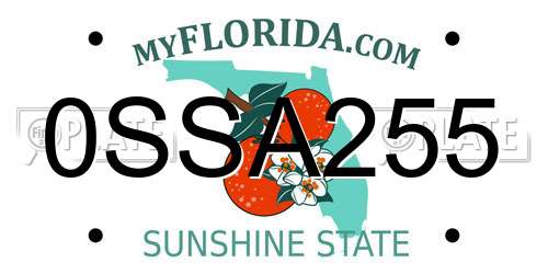 0SSA255 Florida License Plate