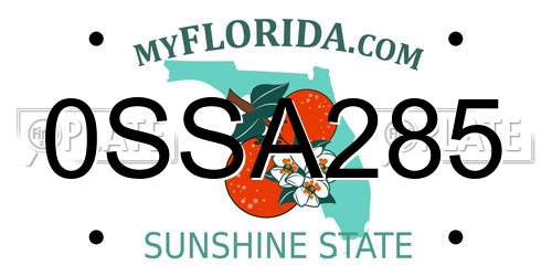0SSA285 Florida License Plate