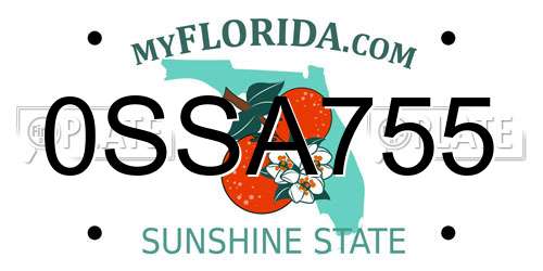 0SSA755 Florida License Plate