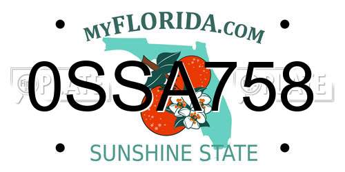 0SSA758 Florida License Plate