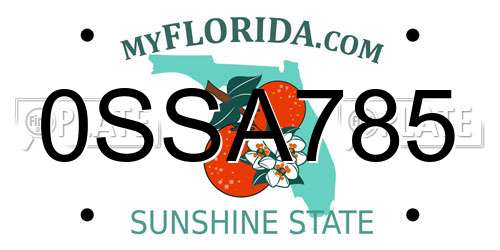 0SSA785 Florida License Plate