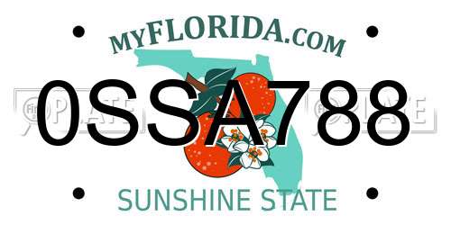 0SSA788 Florida License Plate
