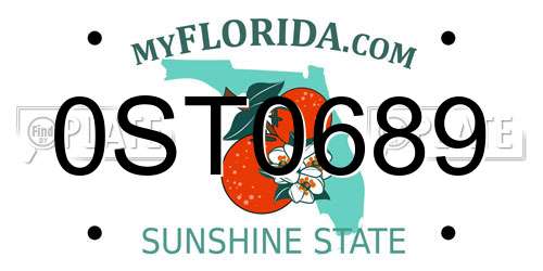 0ST0689 Florida License Plate