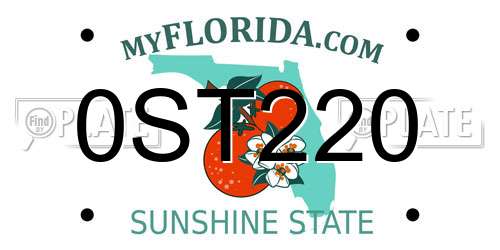 0ST220 Florida License Plate