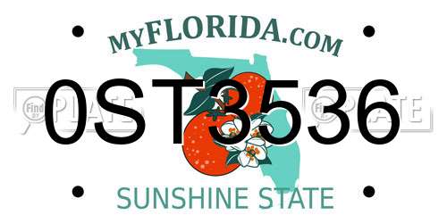 0ST3536 Florida License Plate