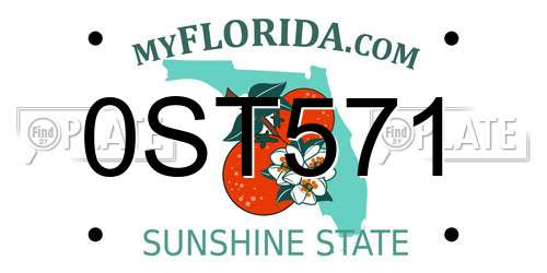 0ST571 Florida License Plate