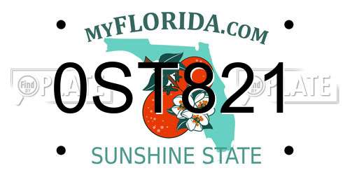 0ST821 Florida License Plate