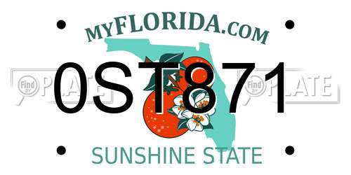 0ST871 Florida License Plate