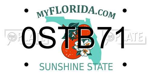 0STB71 Florida License Plate