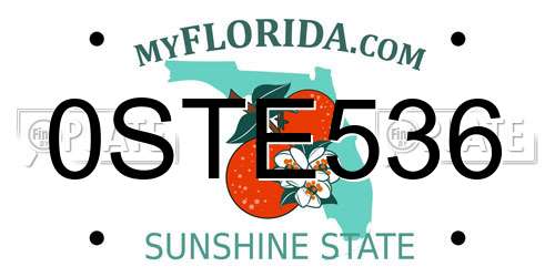 0STE536 Florida License Plate