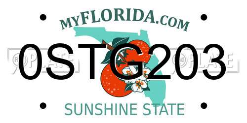 0STG203 Florida License Plate