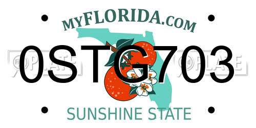 0STG703 Florida License Plate