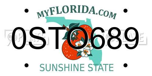 0STO689 Florida License Plate