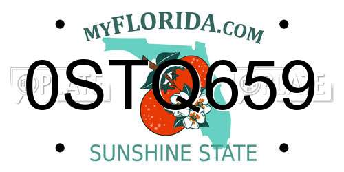 0STQ659 Florida License Plate
