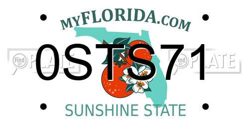 0STS71 Florida License Plate