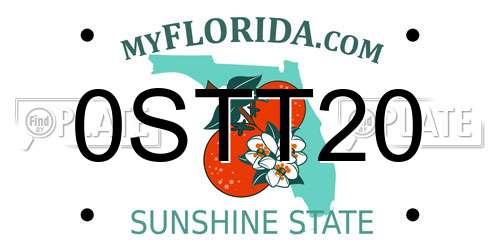 0STT20 Florida License Plate