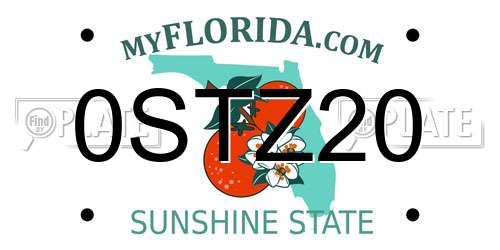 0STZ20 Florida License Plate