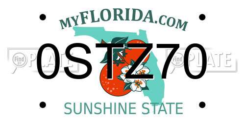 0STZ70 Florida License Plate