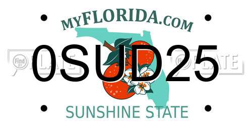 0SUD25 Florida License Plate