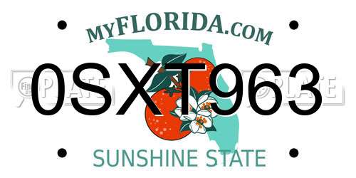 0SXT963 Florida License Plate
