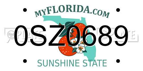 0SZ0689 Florida License Plate