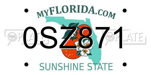 0SZ871 Florida License Plate