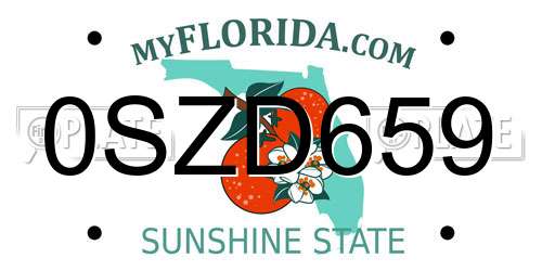 0SZD659 Florida License Plate
