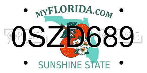0SZD689 Florida License Plate