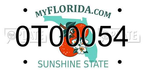 0T00054 Florida License Plate